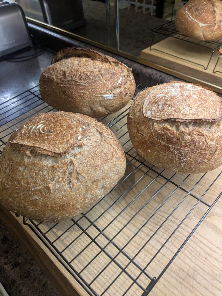 100% Whole wheat loaves - finally happy with the result