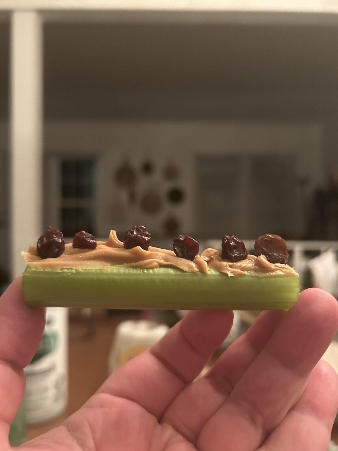 Quick Bite: Ants on a Log