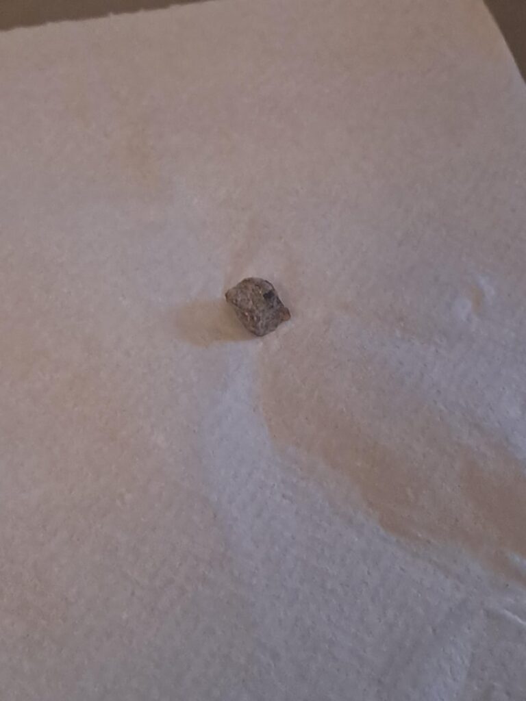 where can i get raisin cubes in NYC? (update)