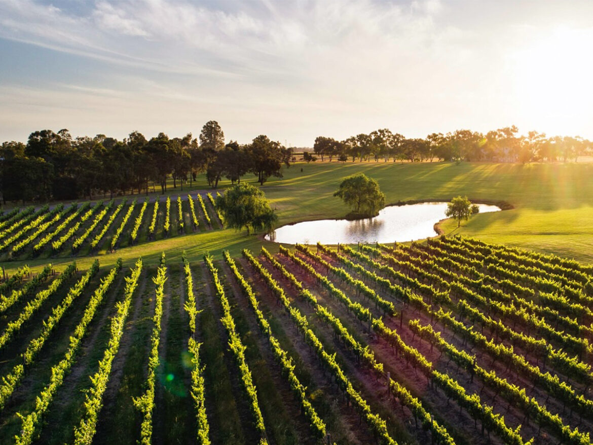 The Shout Magazine (New Zealand) The Shout Magazine (New Zealand)