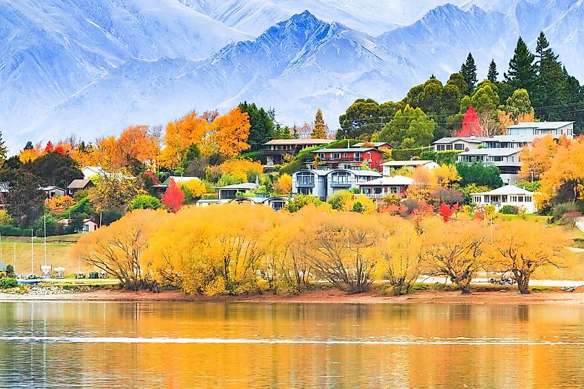  Beautiful autumn scenery of Wanaka, New Zealand.