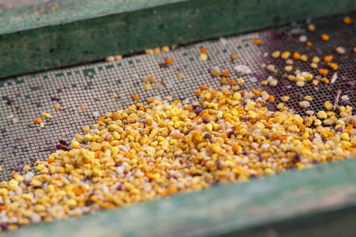 Food security beyond production: what Europe’s agri-food debate risks overlooking