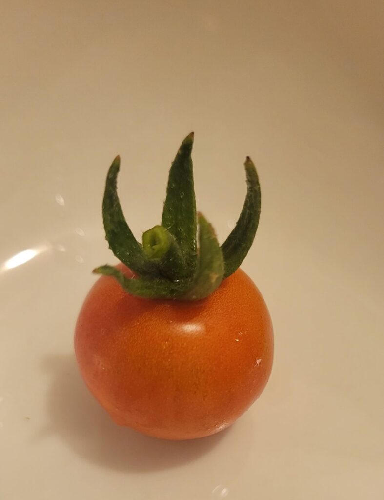 fruit of my f*** ups, the first born