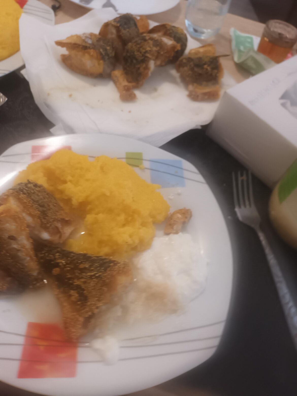 Polenta, fish, horseradish sauce, garlic sauce, what country do you think I'm from after this delicious menu (sorry the picture is blurry, it was steaming :)