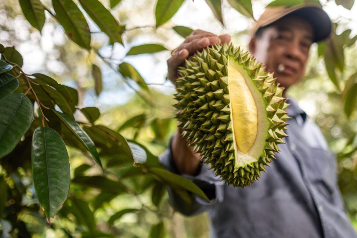 Photo of a blurred person holding a durian fruit up to the camera. The fruit is in sharp focus