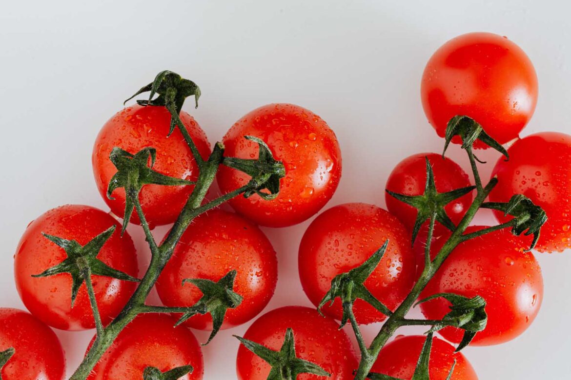 Stop putting tomatoes in the fridge—Here’s what science and an Italian chef say