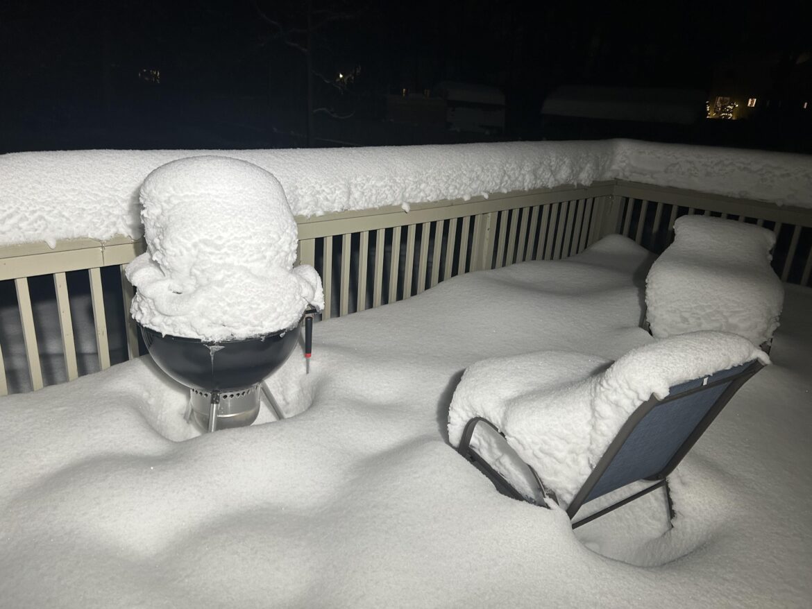 Look what they did to my boy