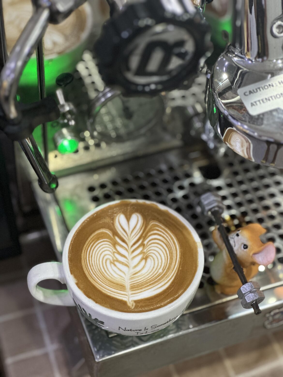 Sharing my rosetta latte art and the pouring video (in comment)