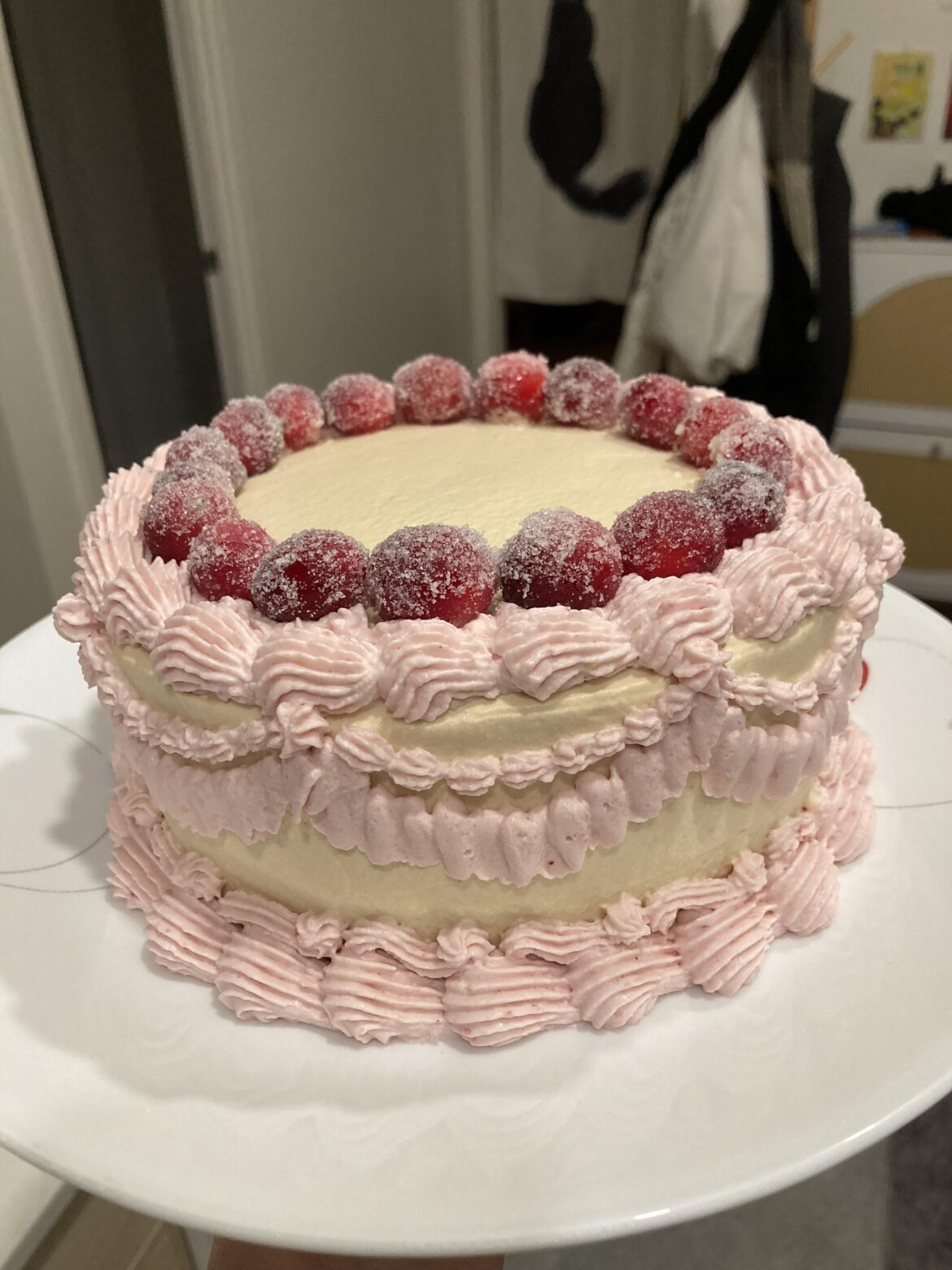 first christmas cake!!