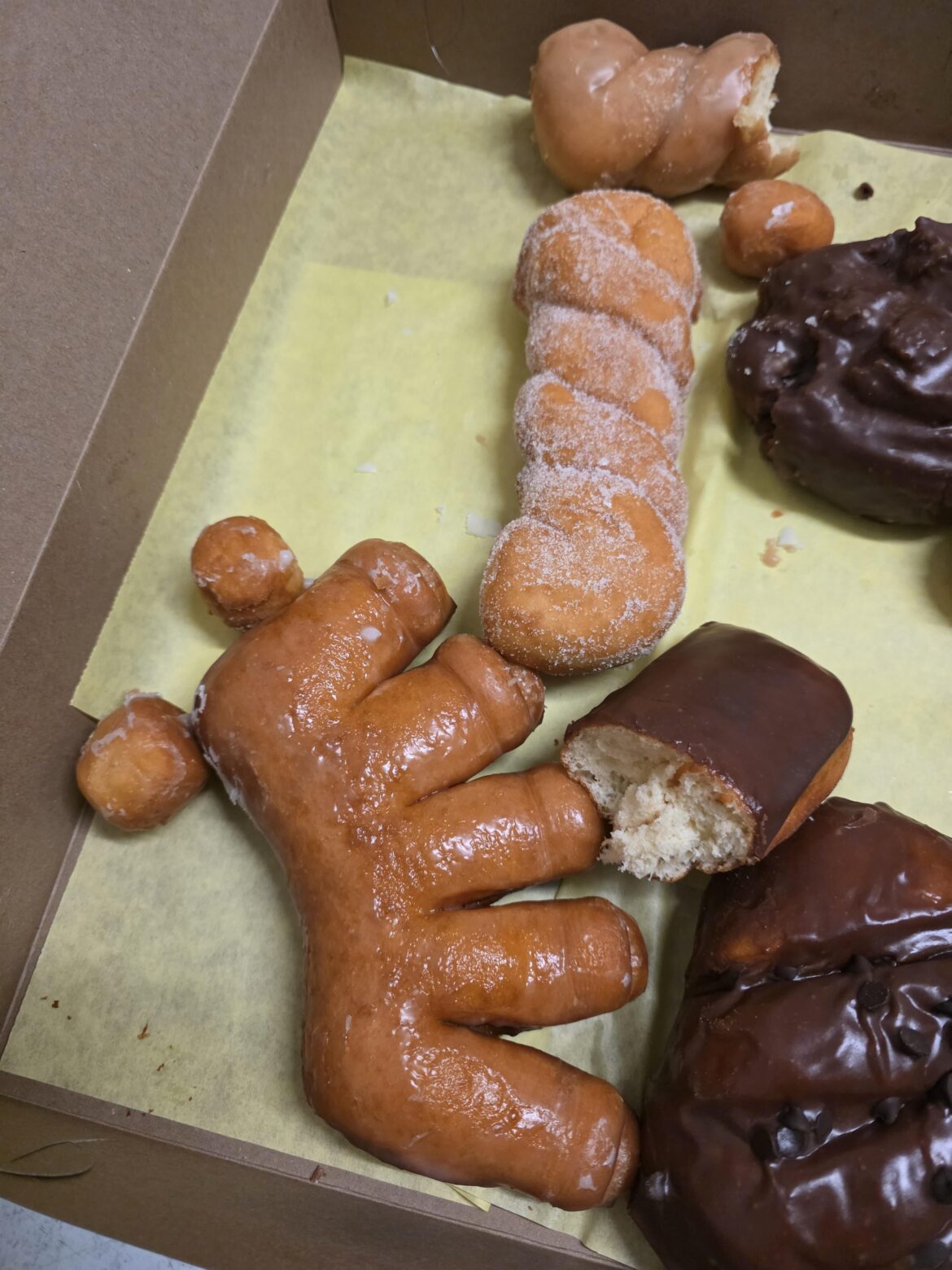 Donuts at work. No one has taken the bear claw, but everyone has stopped by to look at it.
