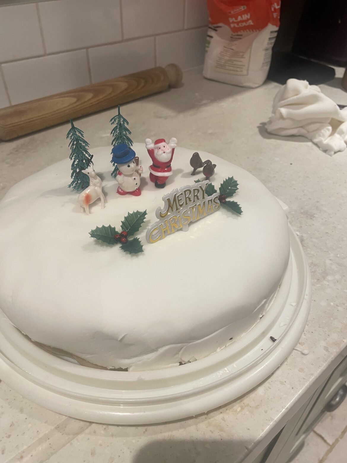 My first Christmas Cake!