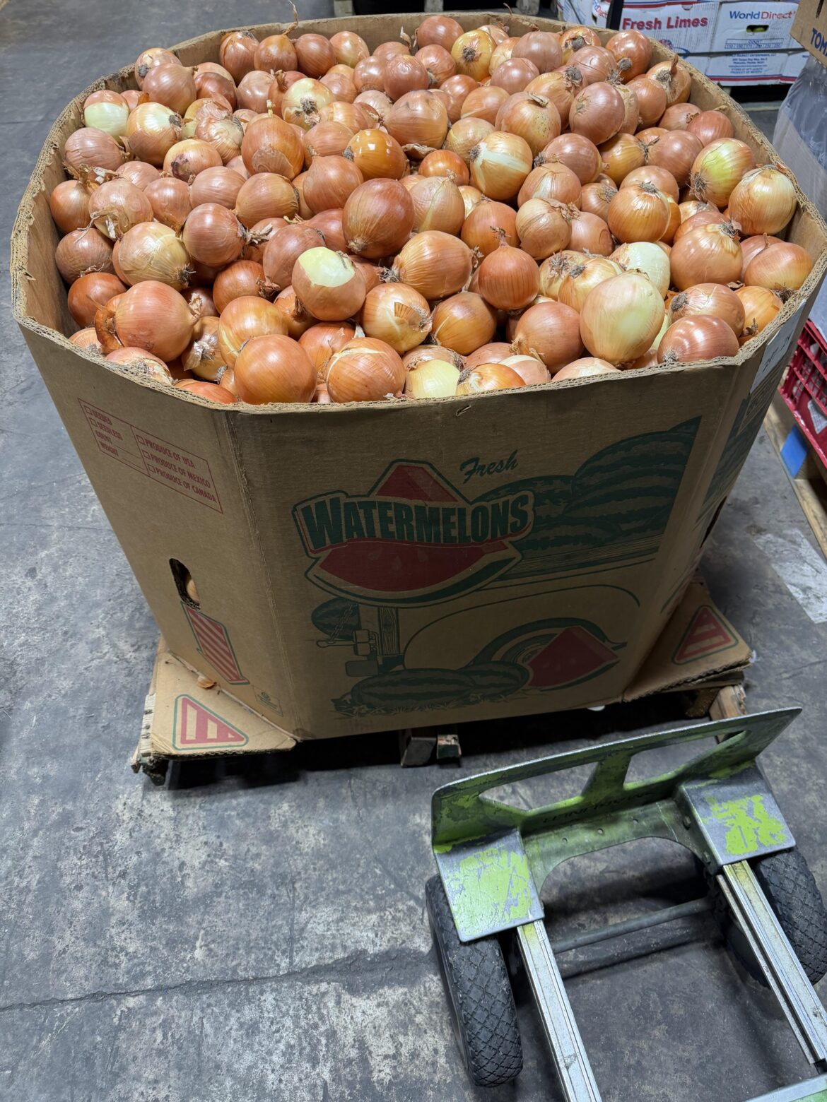 Just Paid $100 for this bad boy