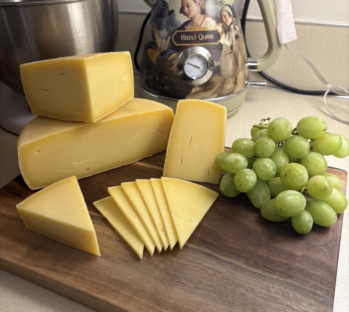 Homemade mountain style Tomme. This one had added mycodore mold that kept the natural rind really clean.  Aged three months. One of the best tasting cheeses I have ever made. Just silky and special.