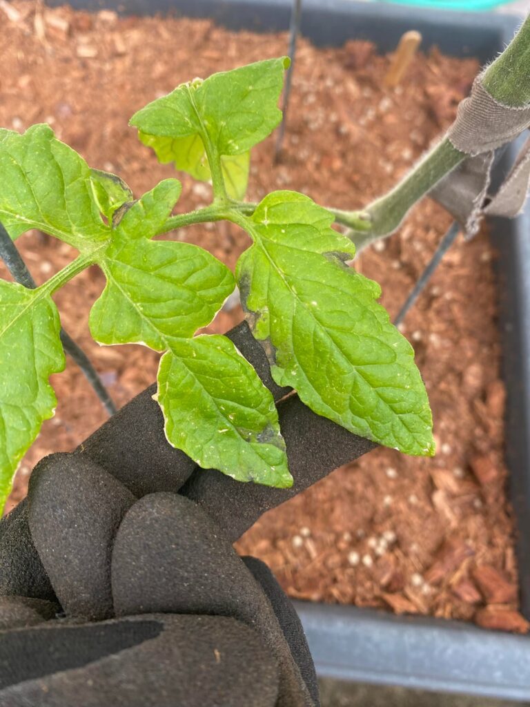 What’s wrong with my guys? What’s wrong with my guys?