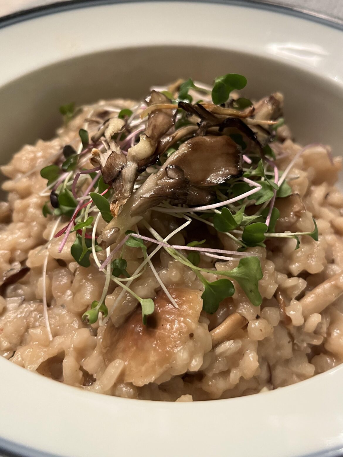 Homemade wild mushroom risotto
