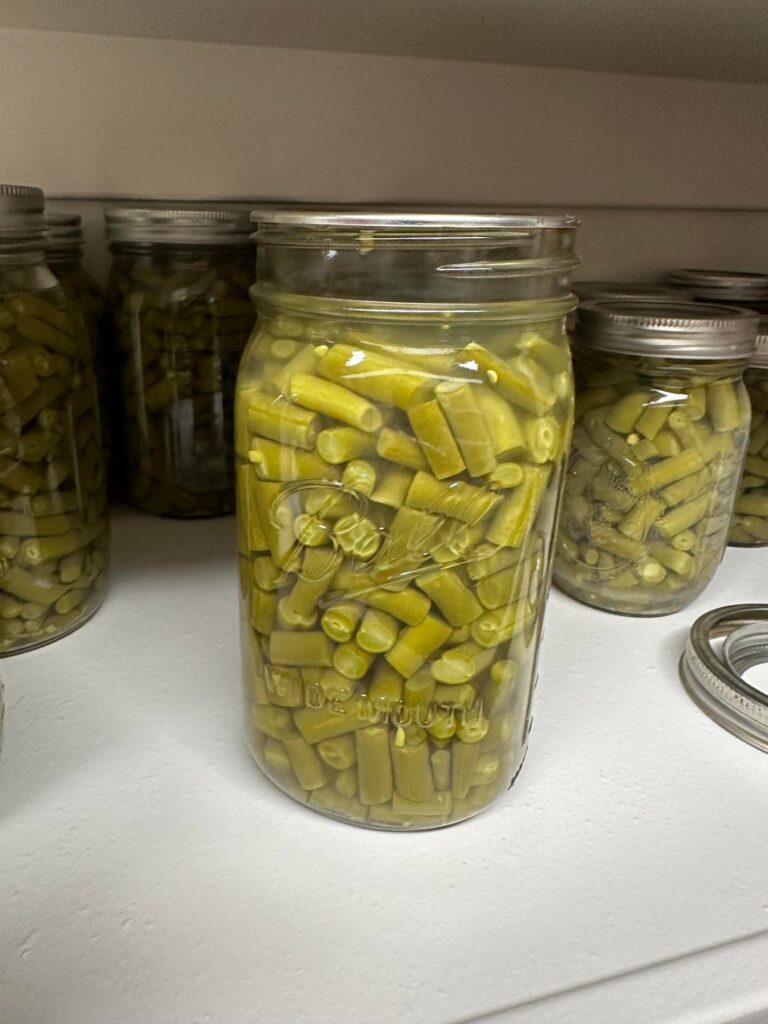 Milky green beans… asking for a family member….