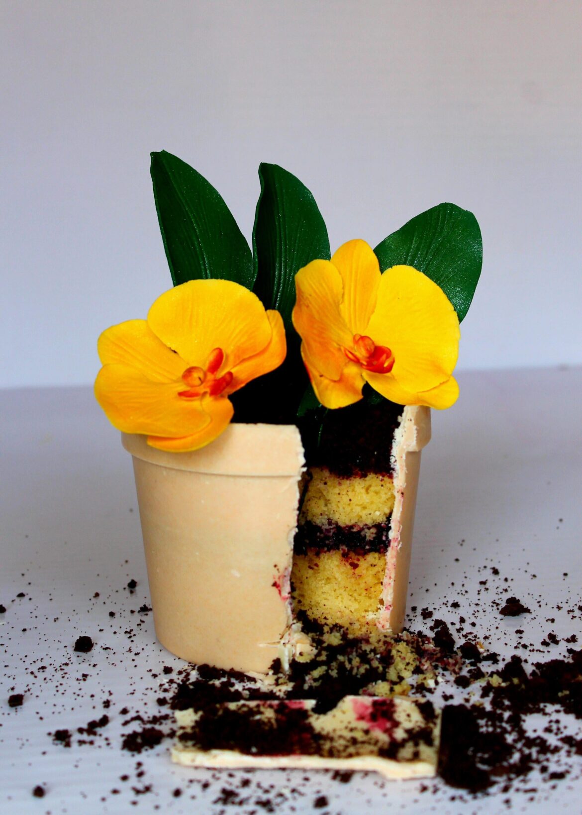 Trying hyper realistic flower pot cake