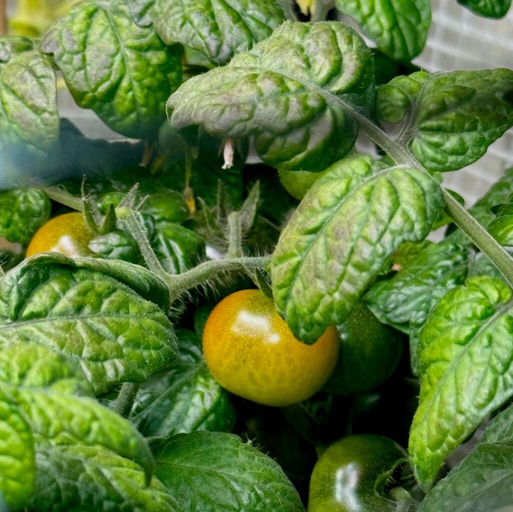 Someone is blushing!