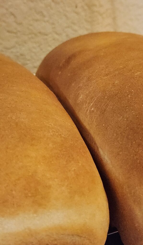 My Fresh, Hot Loaves Are At It AGAIN... 🔥 🍞🥵
