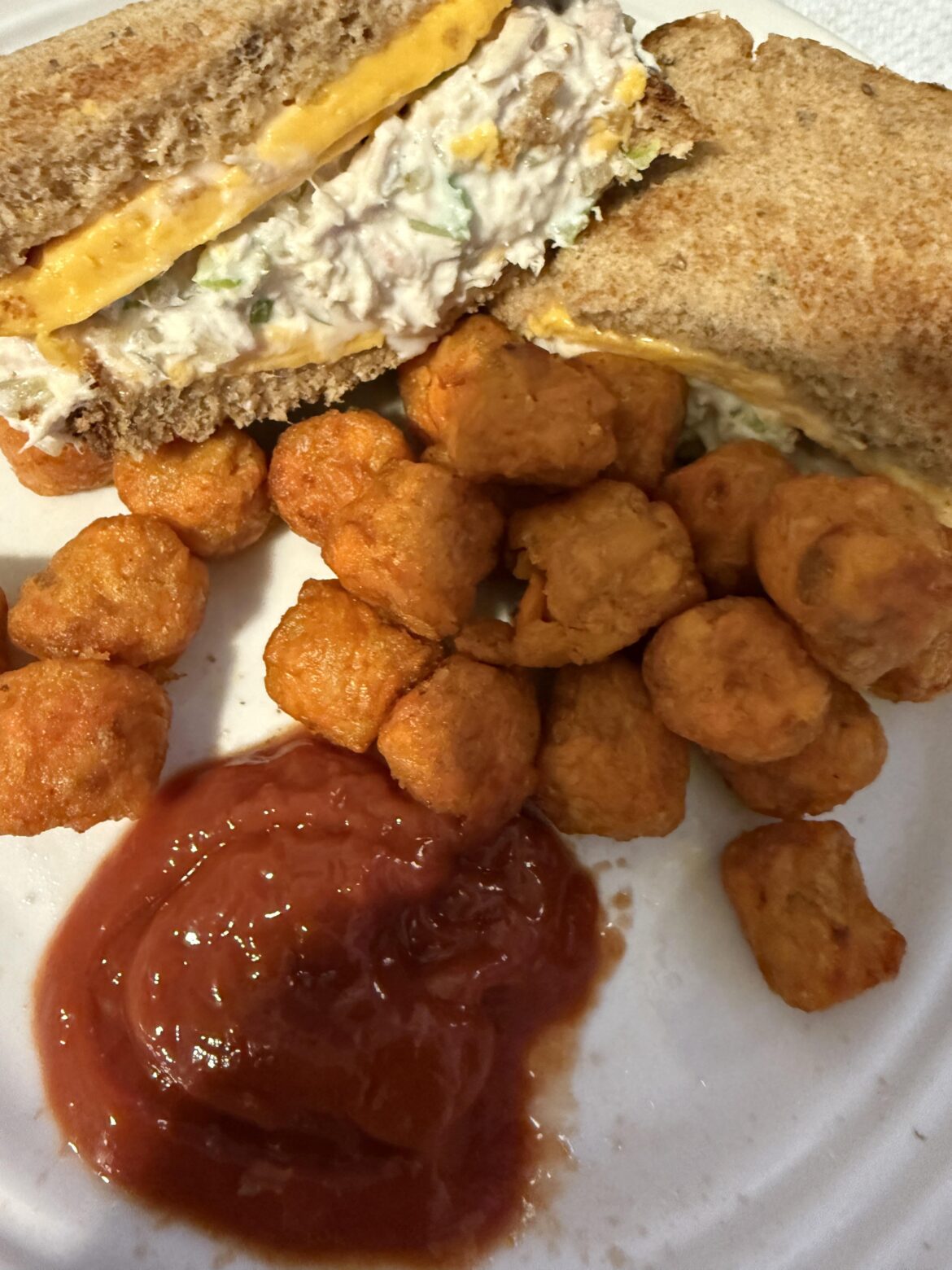 Dinner: Tuna Fish cheese on toasted bun with sweet potatoes tots