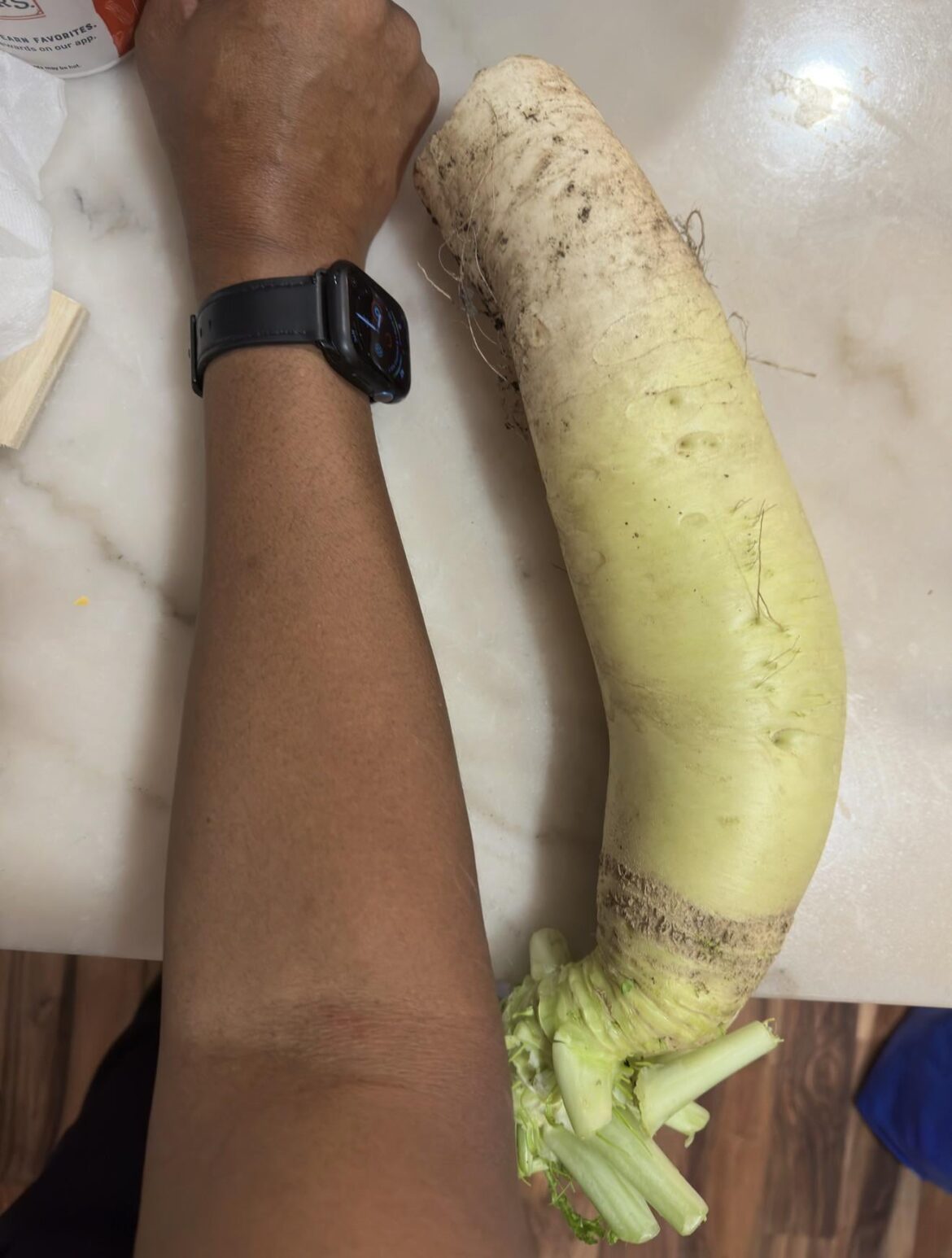 I think I waited a little too long to harvest this Daikon radish and then I got impatient and pulled a little too hard and broke it. I was actually only growing it as deterrent for cucumber beetles.