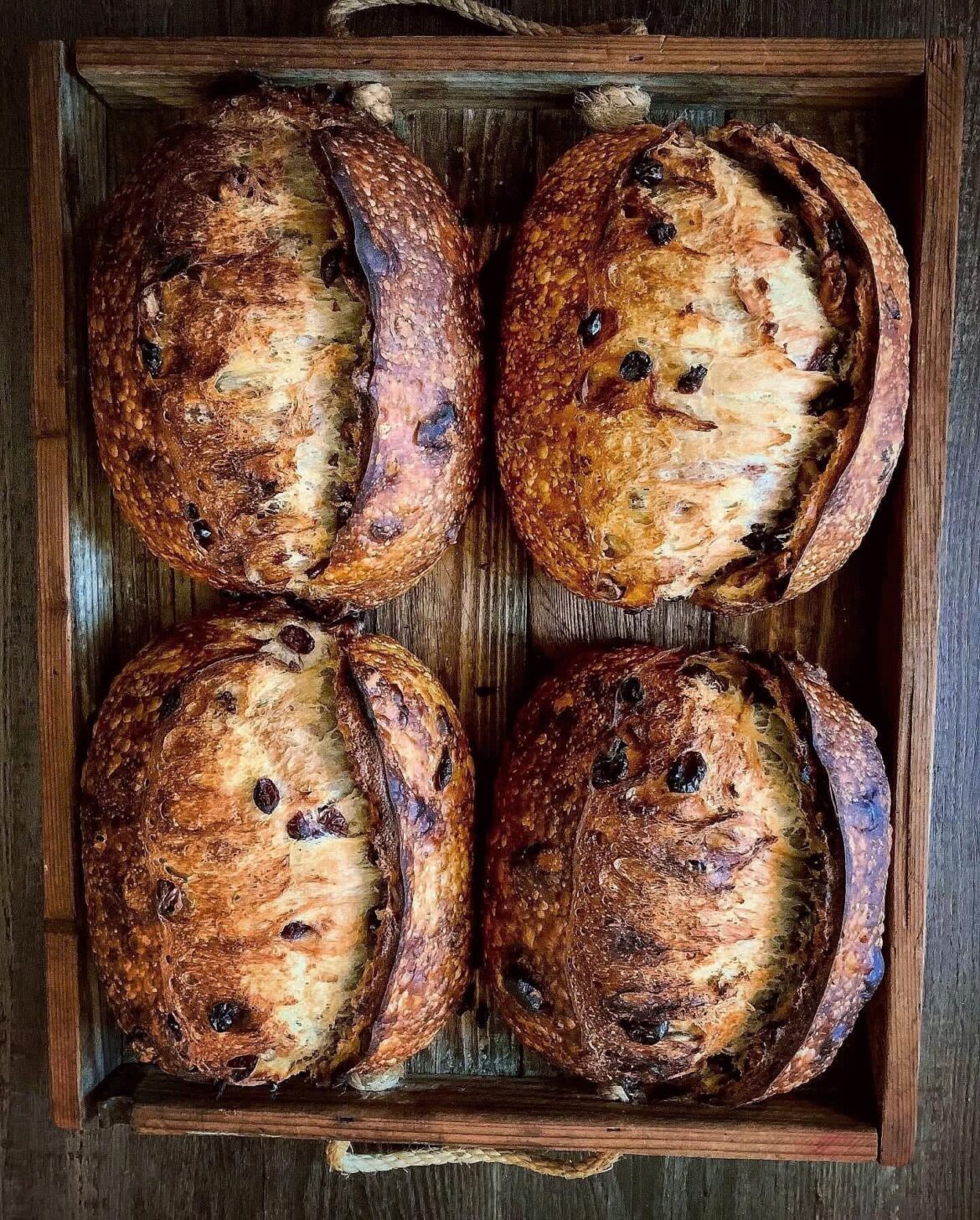 Sourdough Cranberry walnut