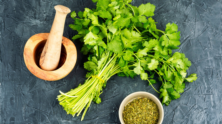 Fresh and dried cilantro next to mortar and pestle