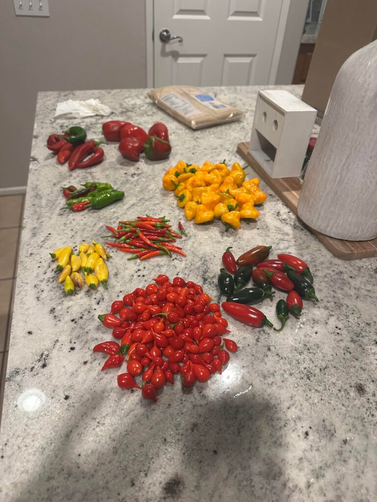New to making salsas