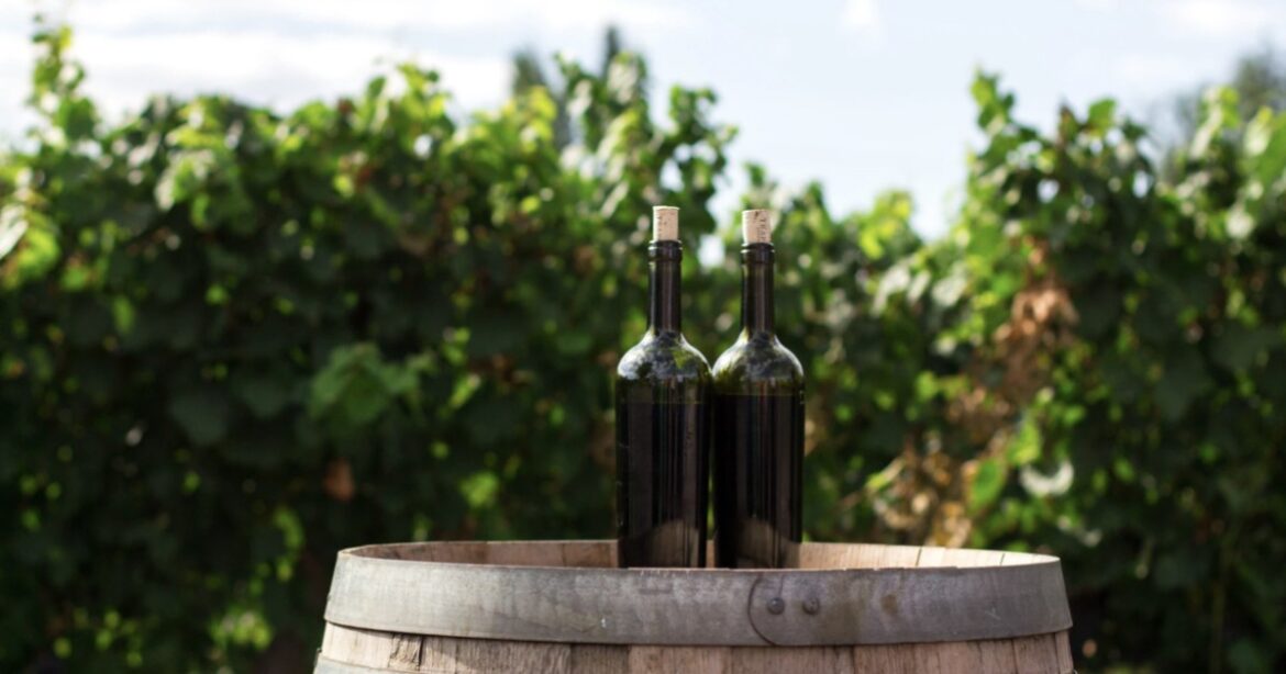 5 Spanish bodegas — idealista/news 5 Spanish bodegas — idealista/news