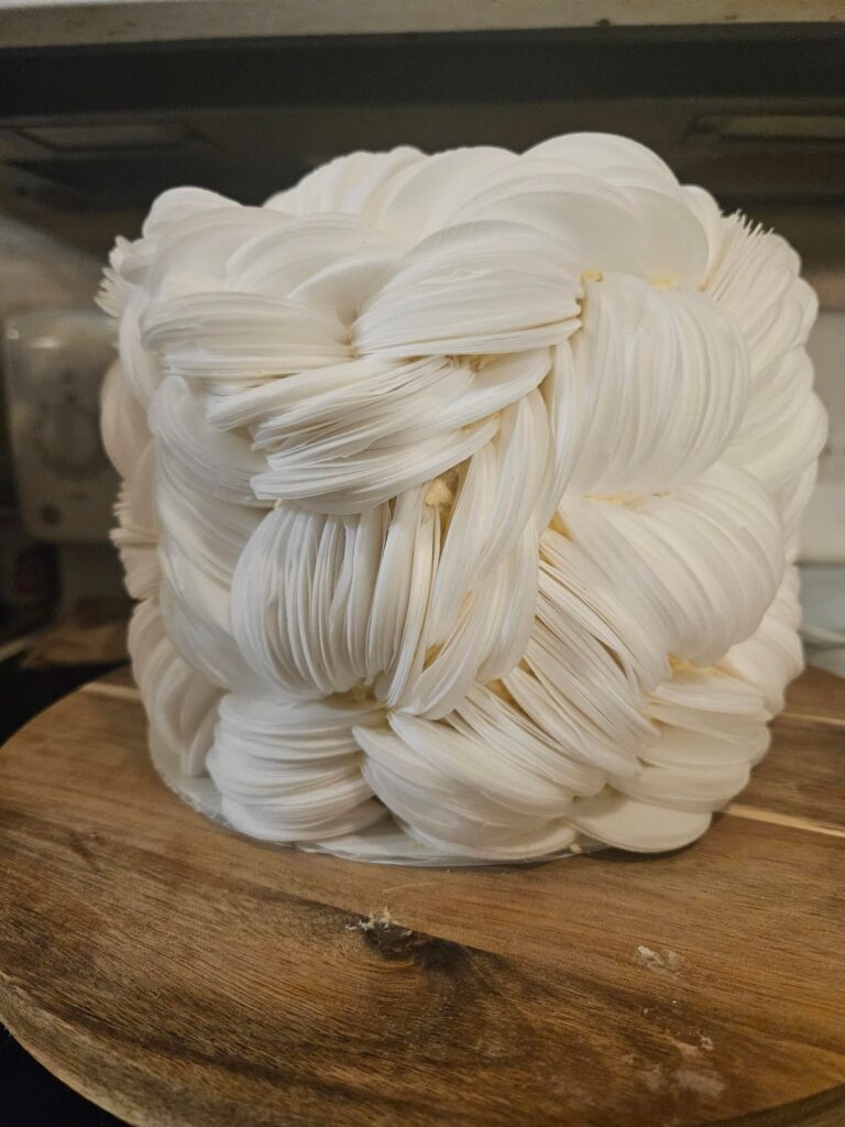 My daughter's birthday cake.