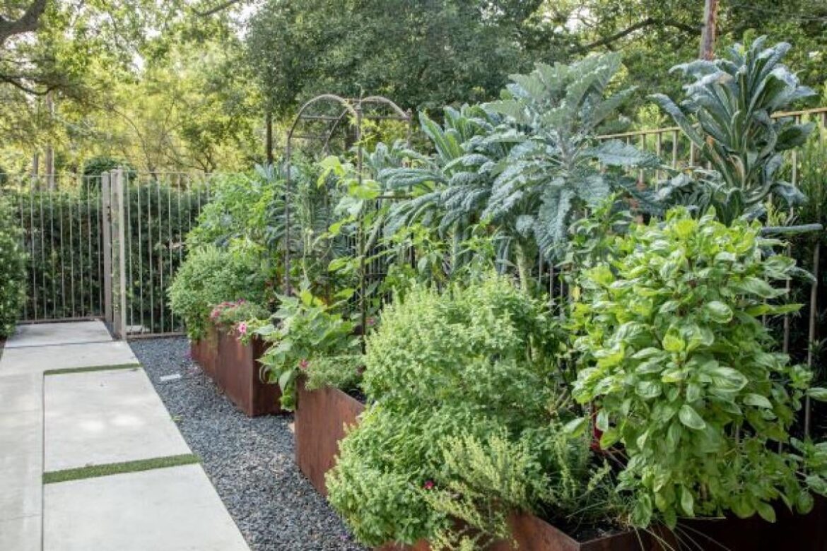 living mulch / intensive gardening when growing in smallish pots?