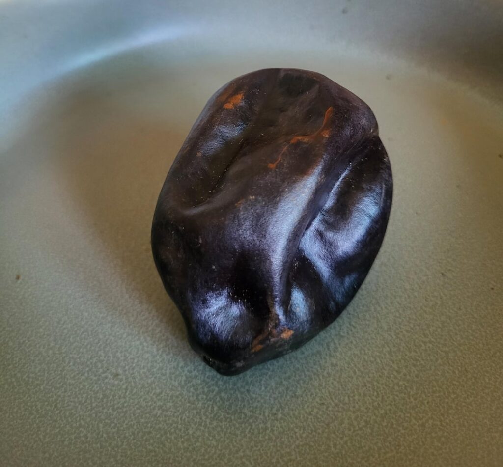 The beauty of Chilhuacle Negro. Prepping for some mole negro.