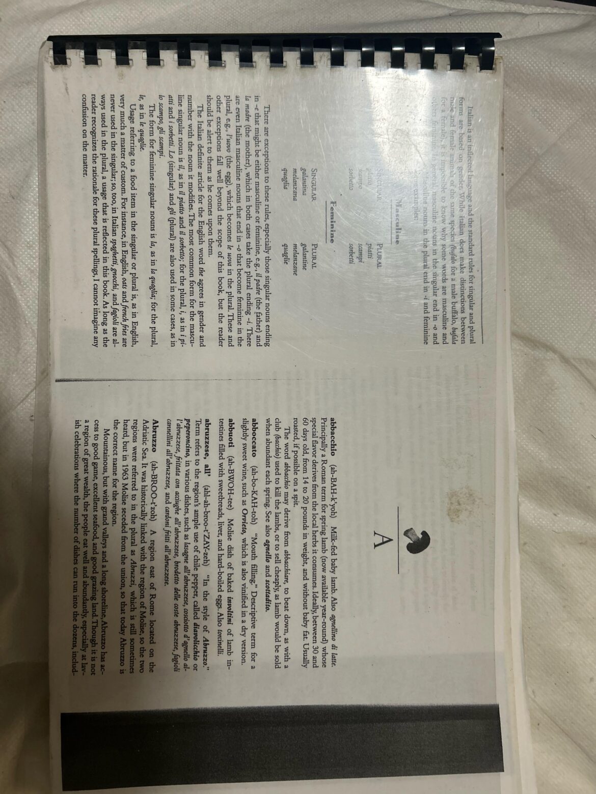 Looking for Italian food book name