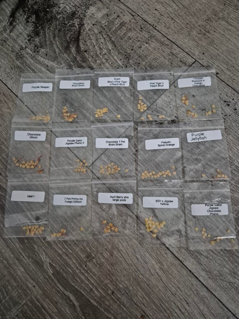 Massive Thanks to u/washedurhairlately