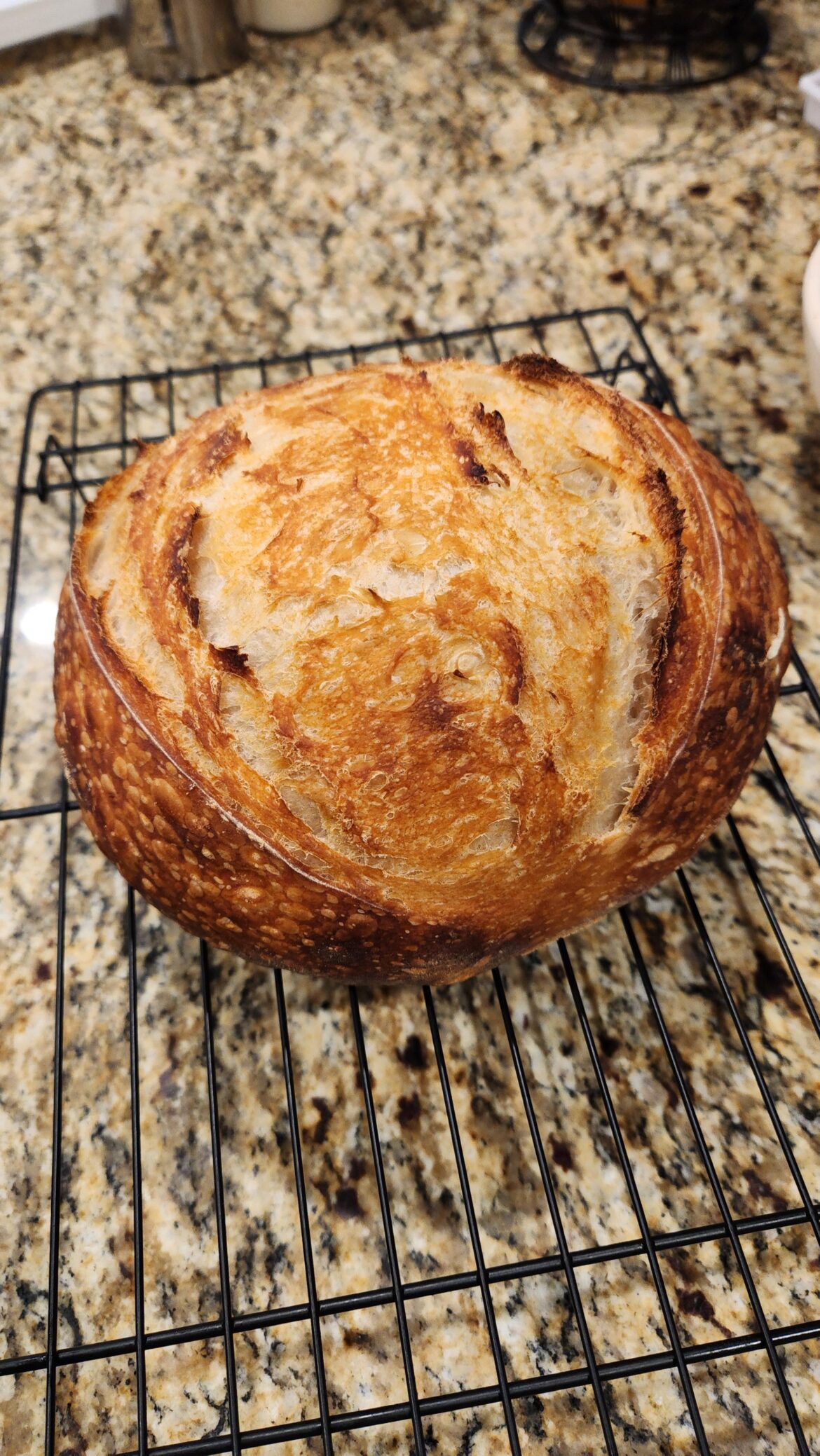 Yeeeeeeeeeeeee~!!! My first sourdough loaf!