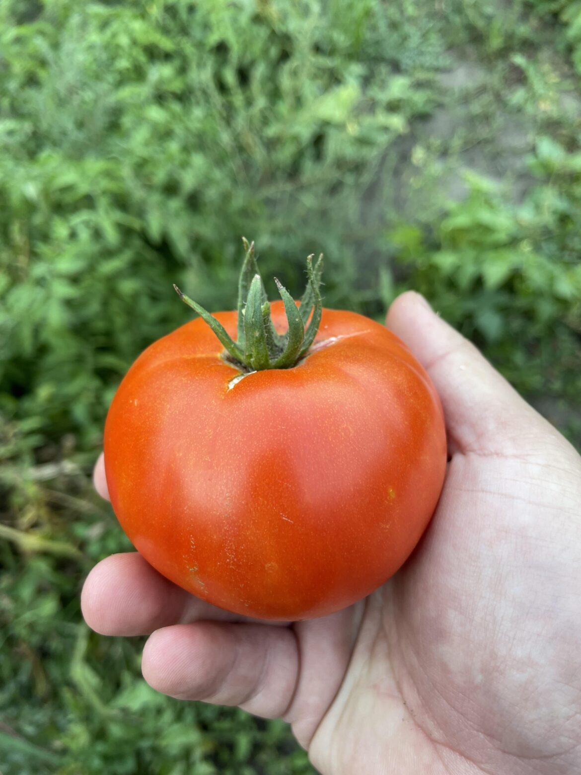 Nothing Tastes Better than Homegrown!