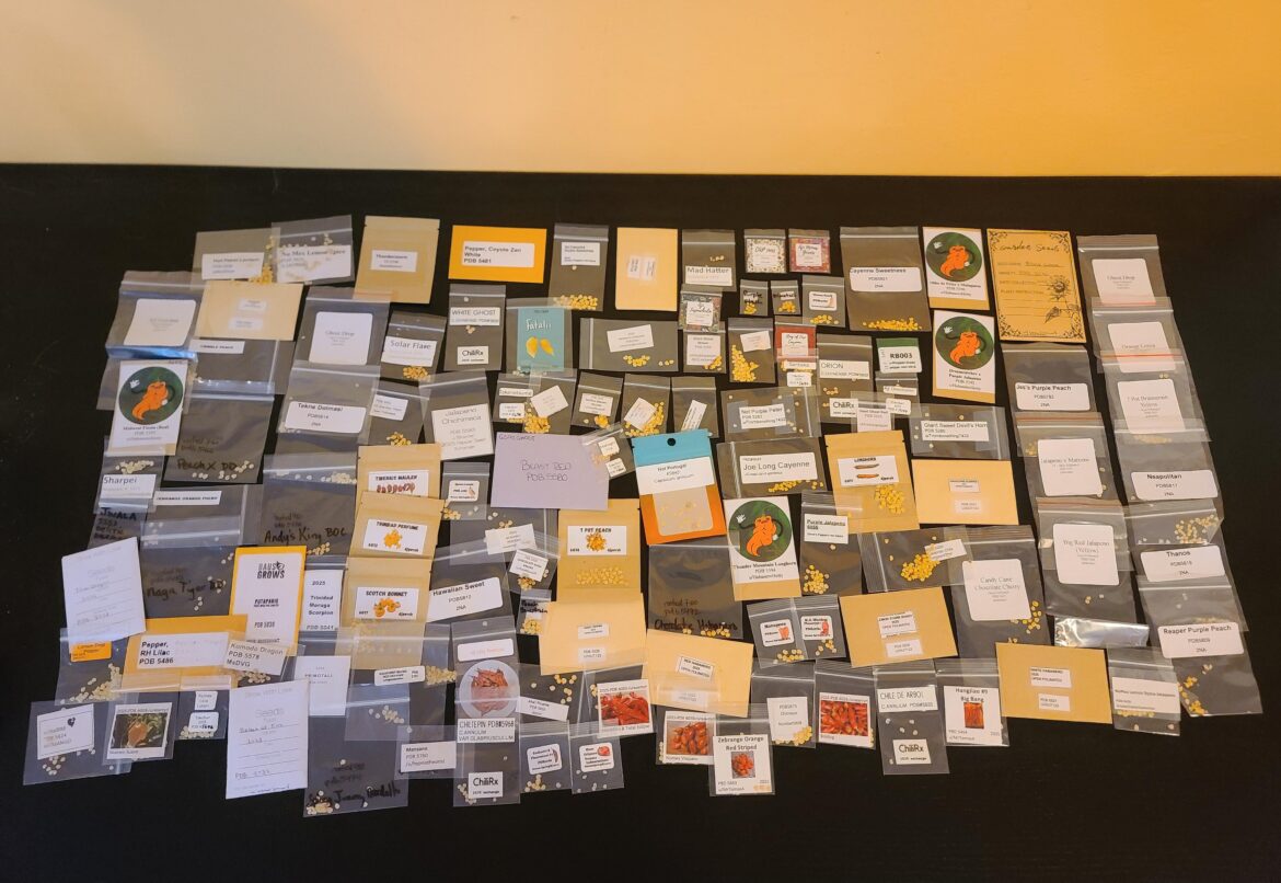 This was my first time participating in the seed exchange, and WOW!!!