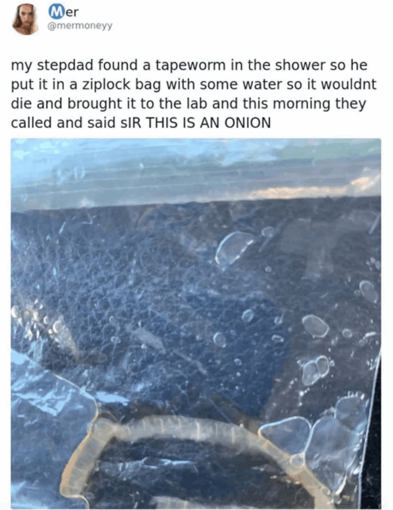 Ok, which one of y'all is this?