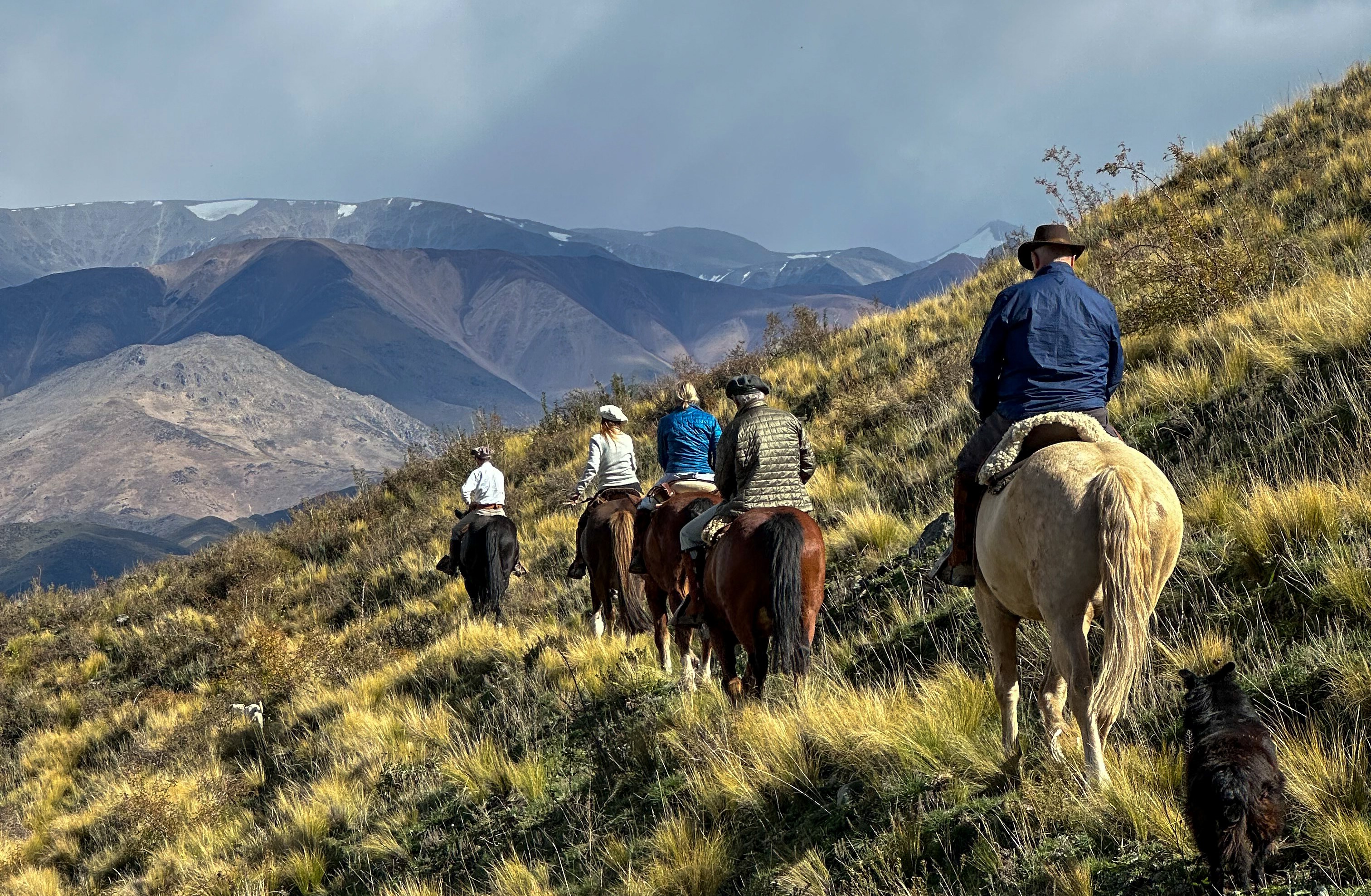 Four people on horseback, accompanied by a black dog, riding uphill on a grassy slope with mountains in the background under a cloudy sky.