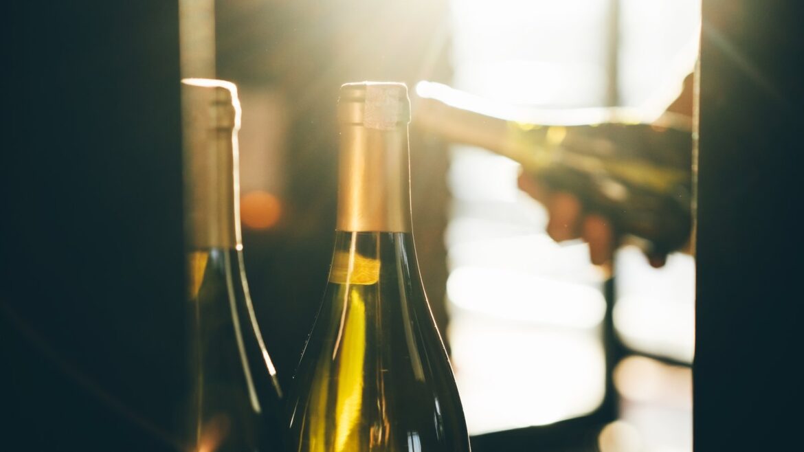 Chilean company ages wines in underwater cellars Chilean company ages wines in underwater cellars