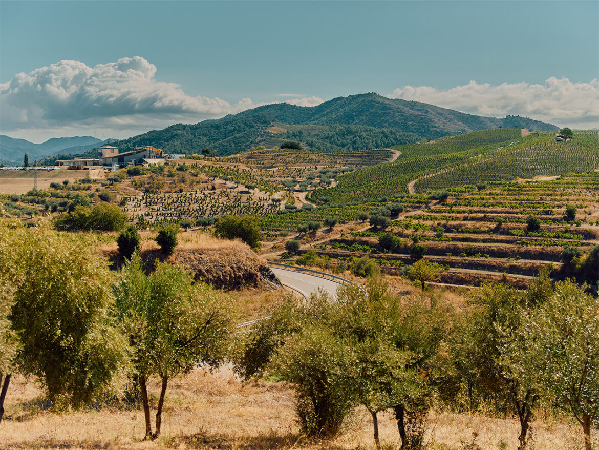Your new wine destination: Priorat's revival as a Catalonian cultural treasure