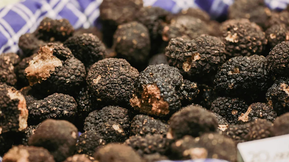 At the Alba Truffle Festival in Italy, visitors explore a vibrant market filled with freshly harvested truffles. The event showcases unique culinary experiences and celebrates local gastronomy.