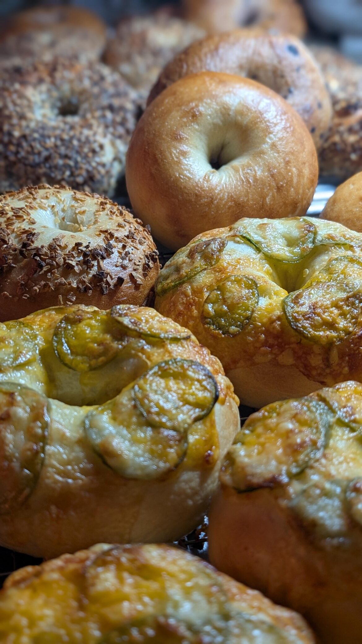 How do my bagels look?