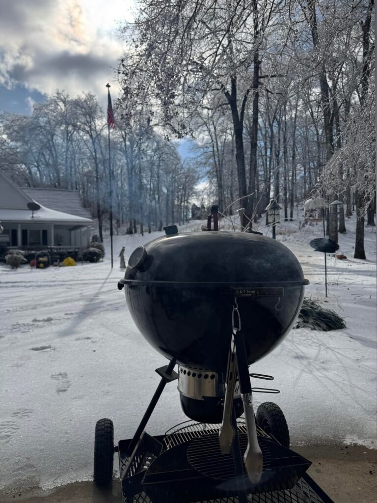 Icepocalypse 26. Not starving.