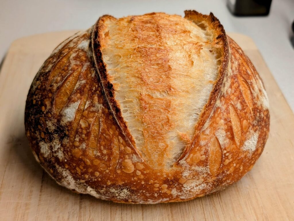Two weeks in! This is my first loaf that I am very happy with!