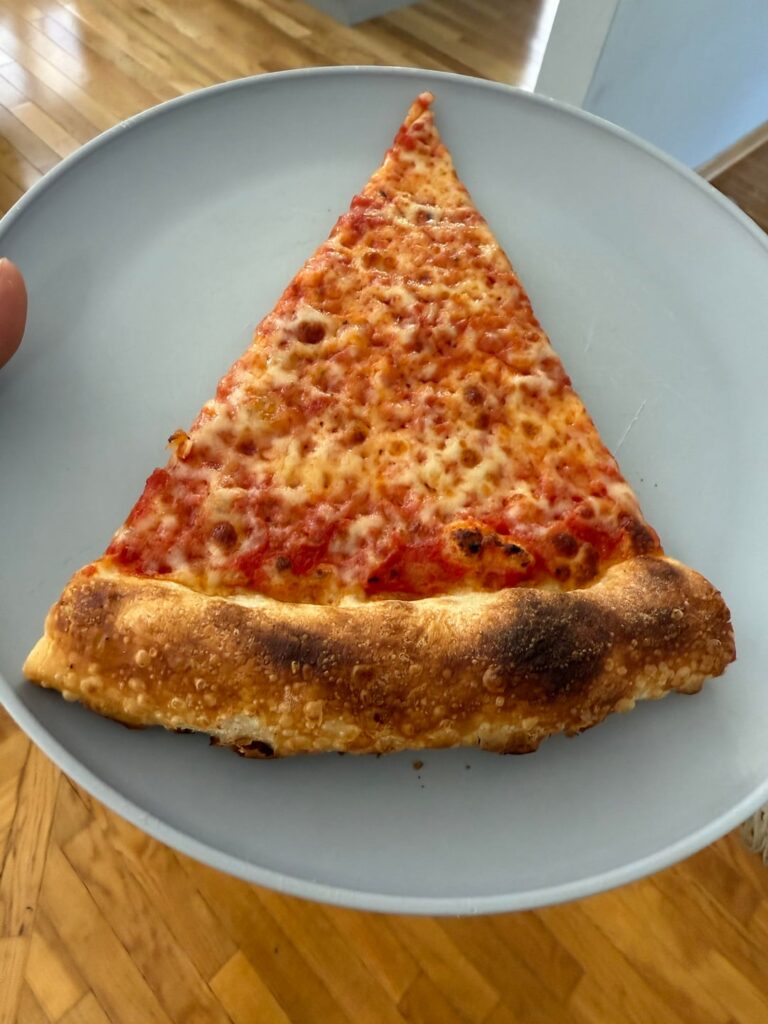 48 hr dough on baking steel