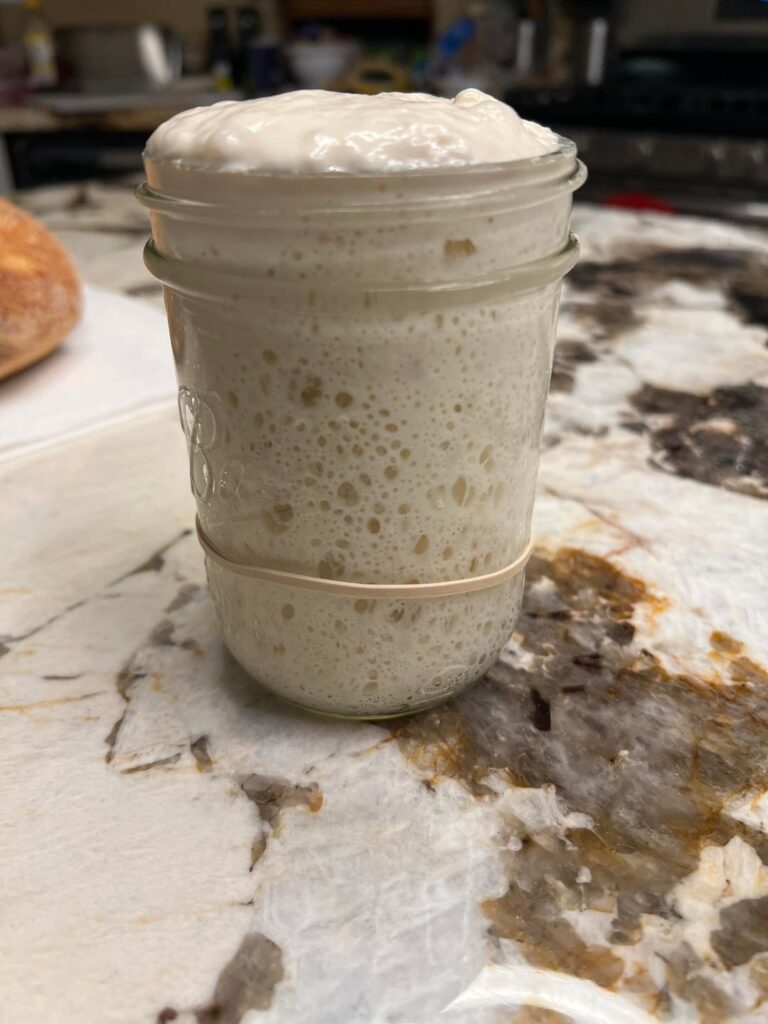 My starter tripled for the first time!