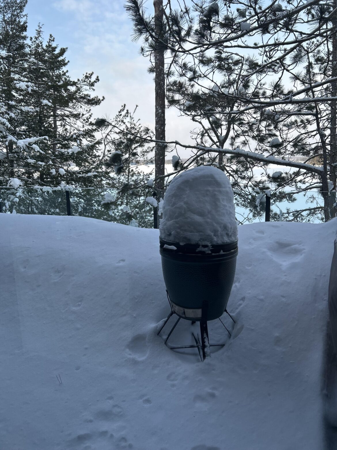 To grill or not to grill, that is the question.