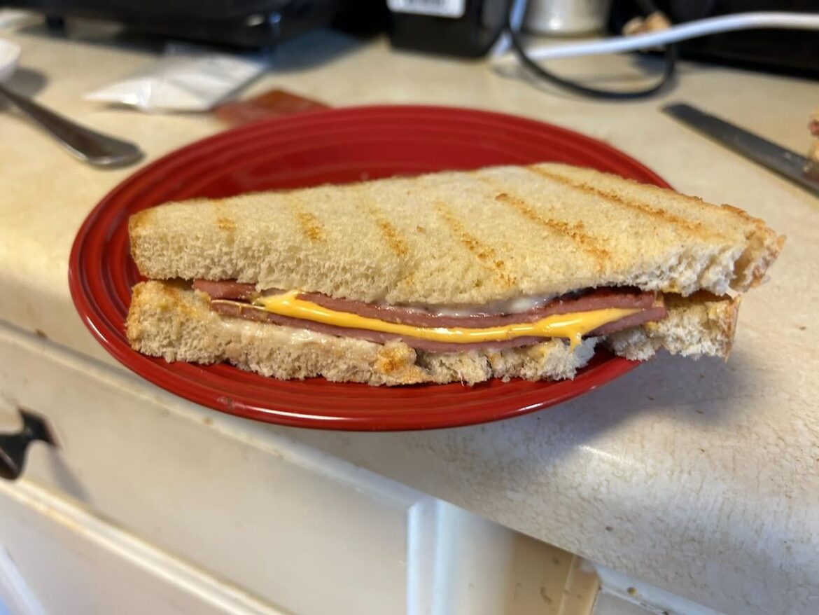 Toasted Sourdough, Duke's on each in side, two slices grilled bologna with american cheese. I call it "Jail Food For Fancy People"