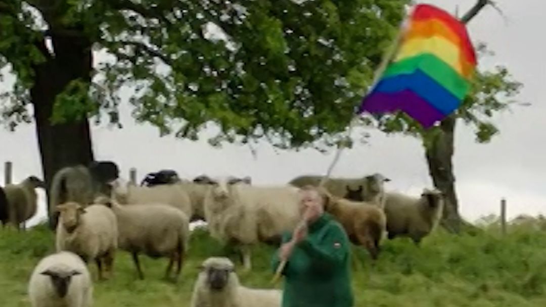 116065_CLEAN_Rainbow Wool_RH_VRTC.00_00_08_00.Still012.jpg